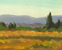 Willamette Valley Landscape